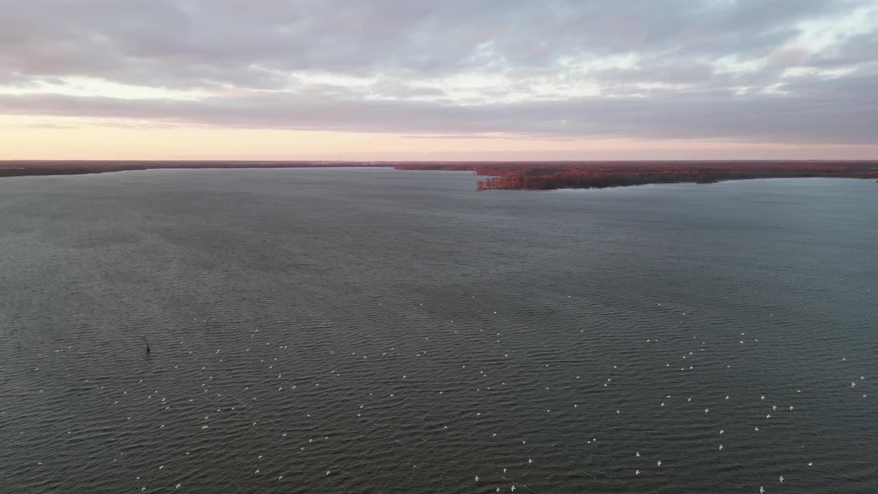 无人机拍摄的令人惊叹的日落场景，周围是大海和飞翔的海鸥视频素材