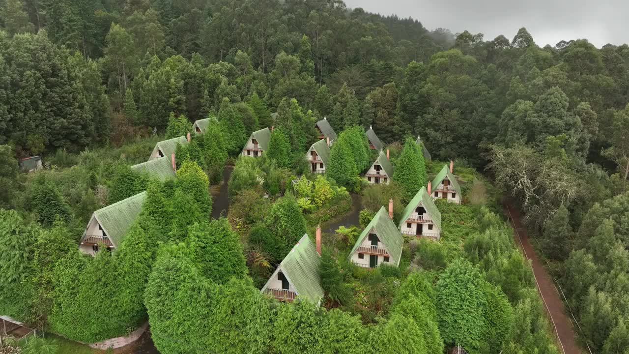 在一个阴天，无人机拍摄了被郁郁葱葱的森林包围的乡村房屋视频素材