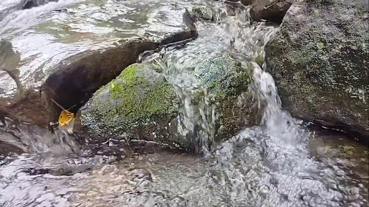 河水在流动视频下载