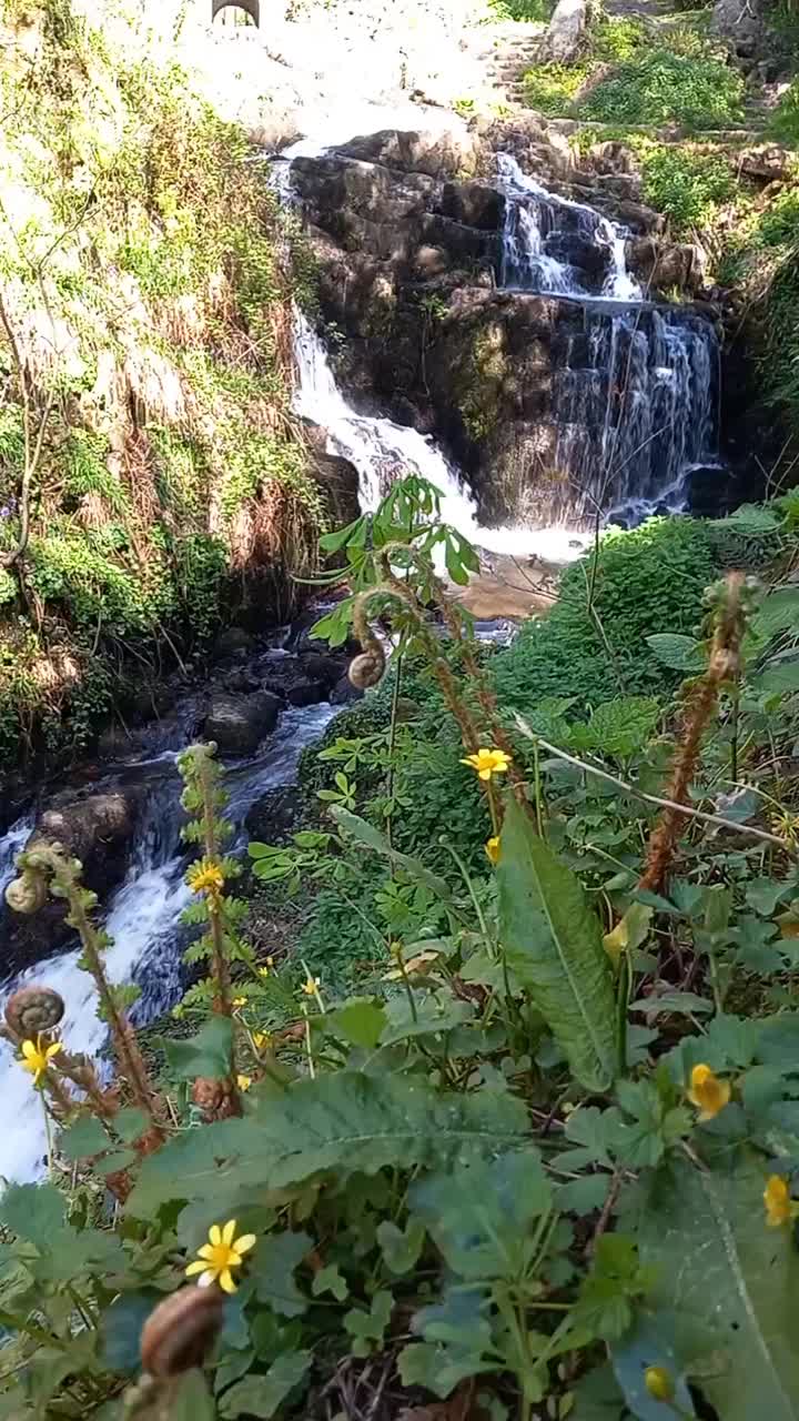 瀑布山视频素材