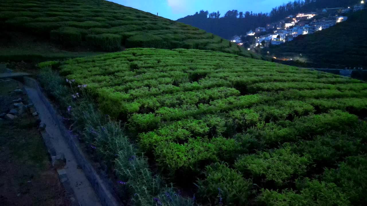 茶园鸟瞰图和夜间交通在山上视频下载