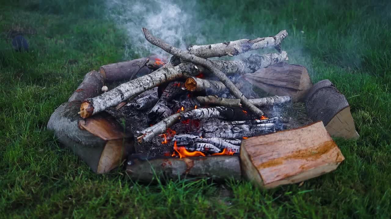 白天森林里美丽的营火。一团大火在美丽的大自然中熊熊燃烧。视频素材