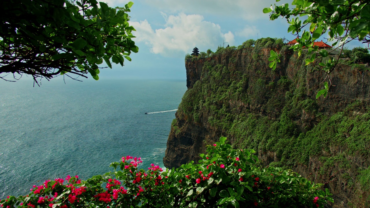 自然景观Pura Luhur Uluwatu寺庙在巴厘岛印度尼西亚。美丽的巨大悬崖上有异国情调的植物，红色品红的花朵映衬着蓝色的印度洋。巴厘岛著名的历史遗迹。视频素材