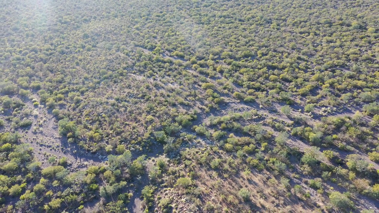 在墨西哥下加利福尼亚南部Mulege的三维尔京火山的空中无人机视图视频下载