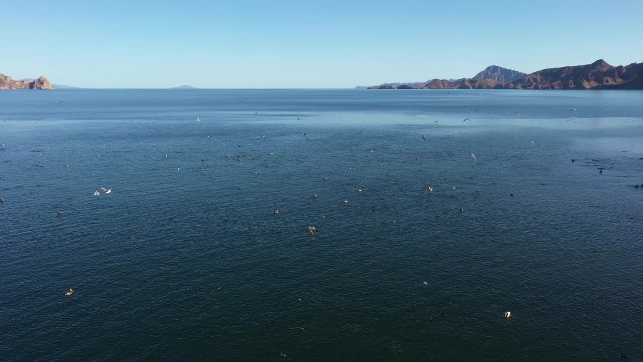 无人机拍摄的洛雷托湾和丹赞特岛在墨西哥下加利福尼亚州南部视频素材