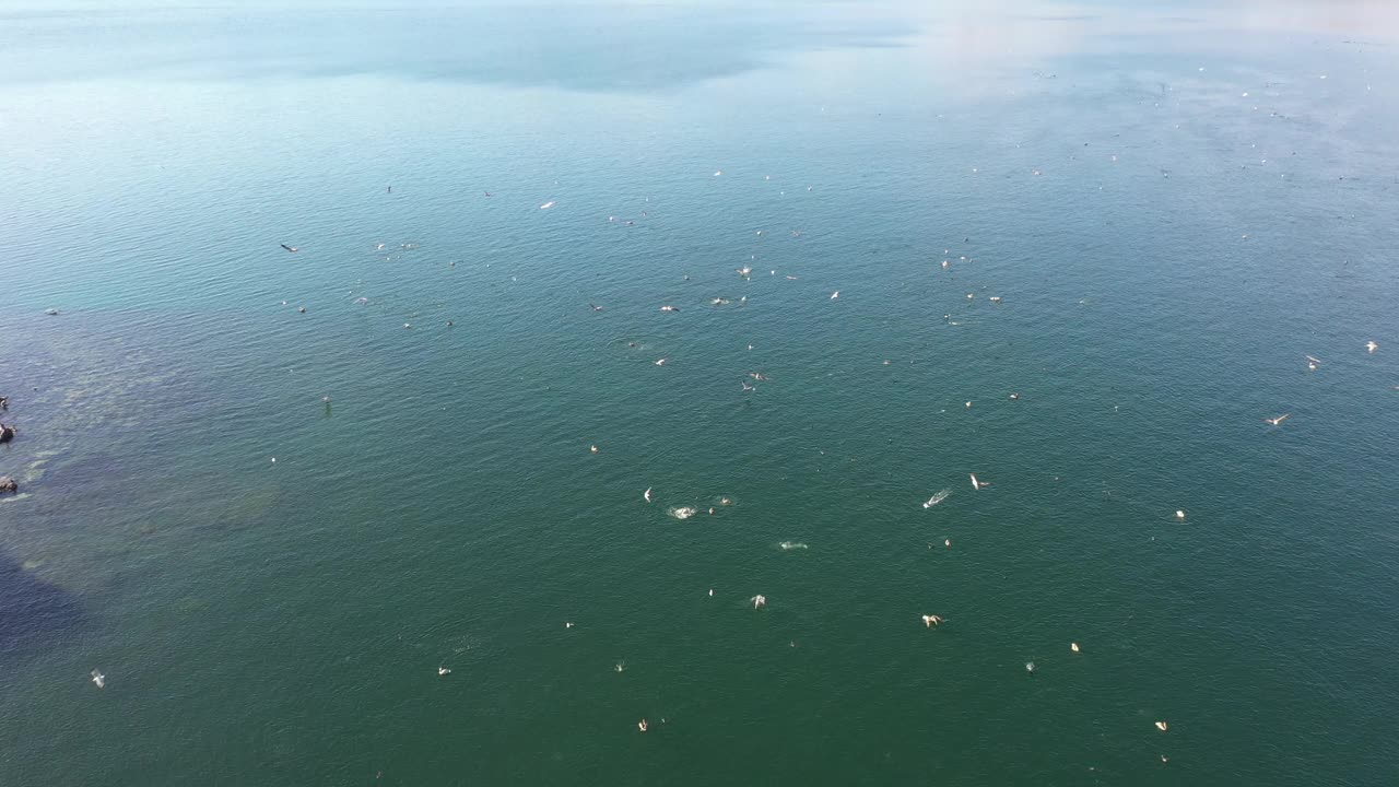 无人机拍摄的洛雷托湾和丹赞特岛在墨西哥下加利福尼亚州南部视频素材