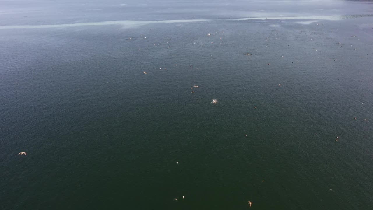 无人机拍摄的洛雷托湾和丹赞特岛在墨西哥下加利福尼亚州南部视频素材