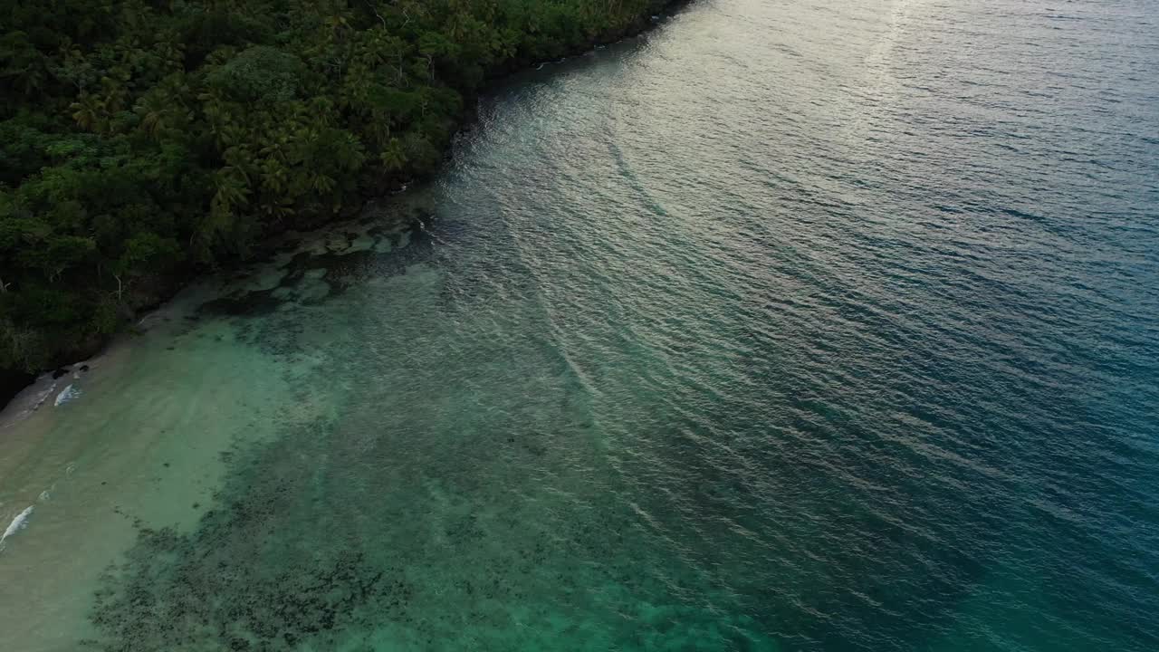 航拍视频显示海浪冲击着布满树木的岩石海岸视频素材