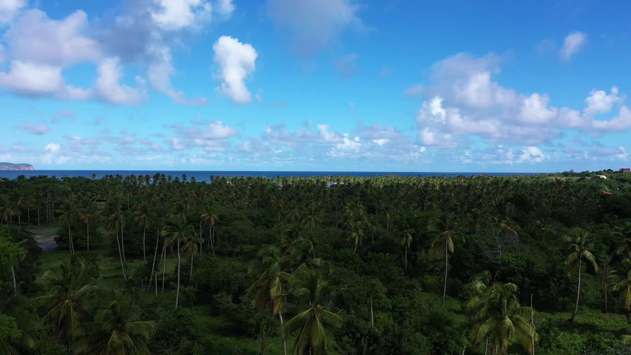 航拍到的布满岩石的海岸上覆盖着热带树木和建筑物视频素材