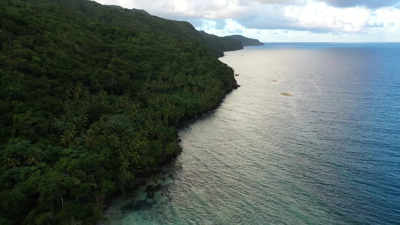 海的航拍视频和岸边森林里的树视频素材