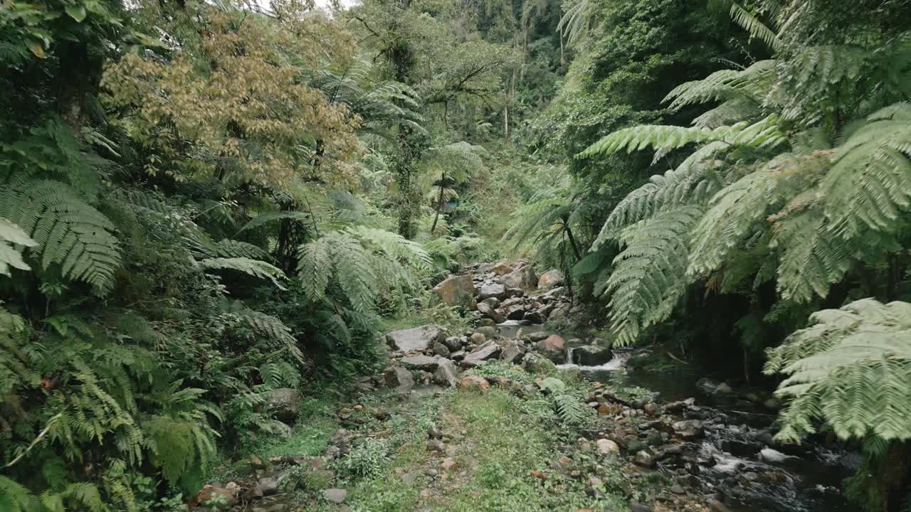 航拍视频，一条小溪在覆盖着热带树木的落基山脉之间视频素材