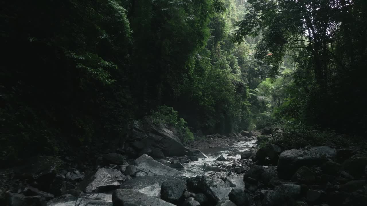 航拍视频，落基山脉之间的河流被热带树木覆盖视频素材