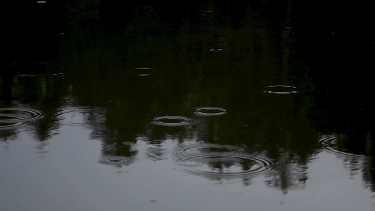 雨视频素材