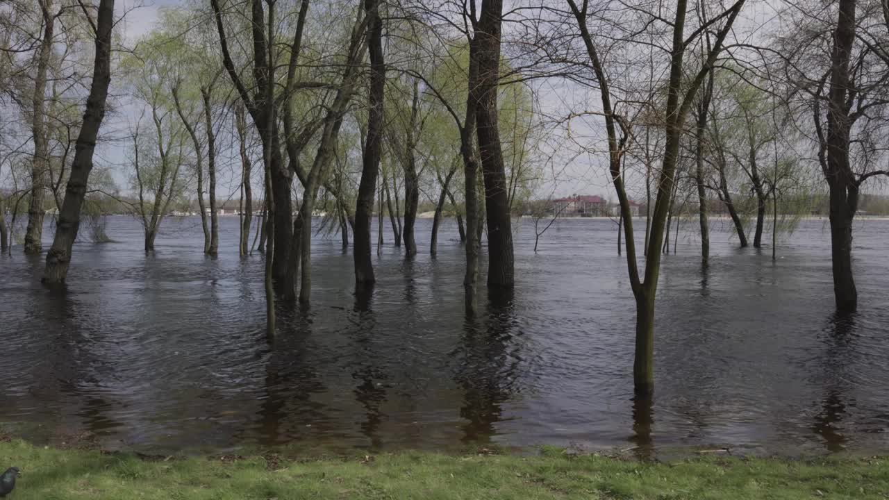 第聂伯罗河的洪水以及基辅和奥布隆沿海地区的洪水视频下载