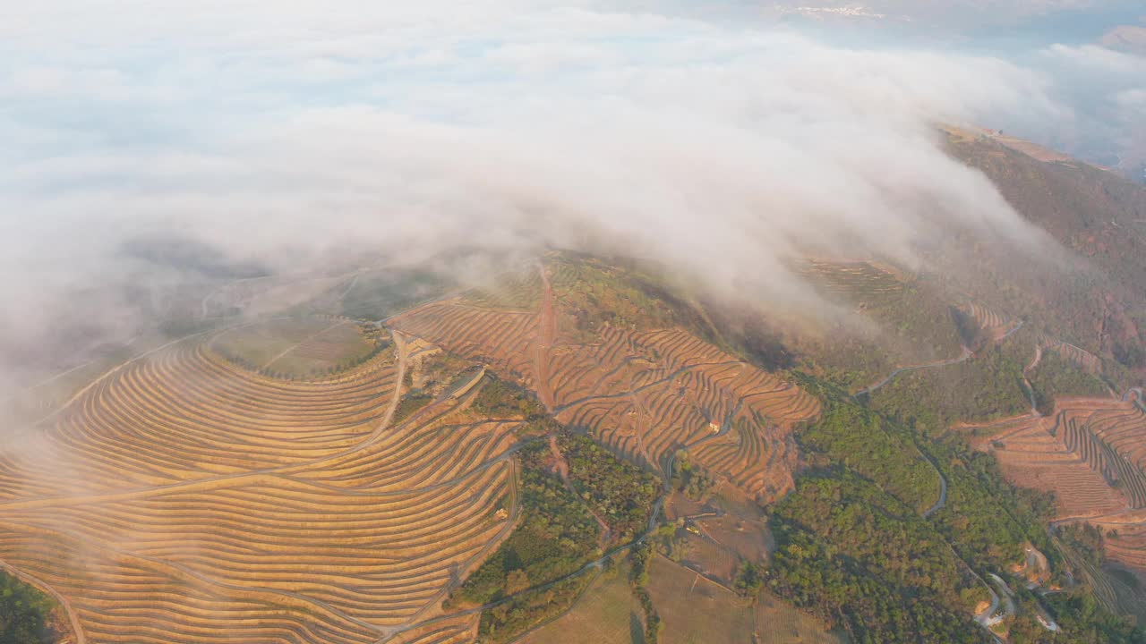 鸟瞰葡萄牙Pinhao村附近杜罗河谷的梯田葡萄园;葡萄牙旅游的概念和葡萄牙最美丽的地方。
杜罗河葡萄酒产区靠近波尔图，夏日视频素材