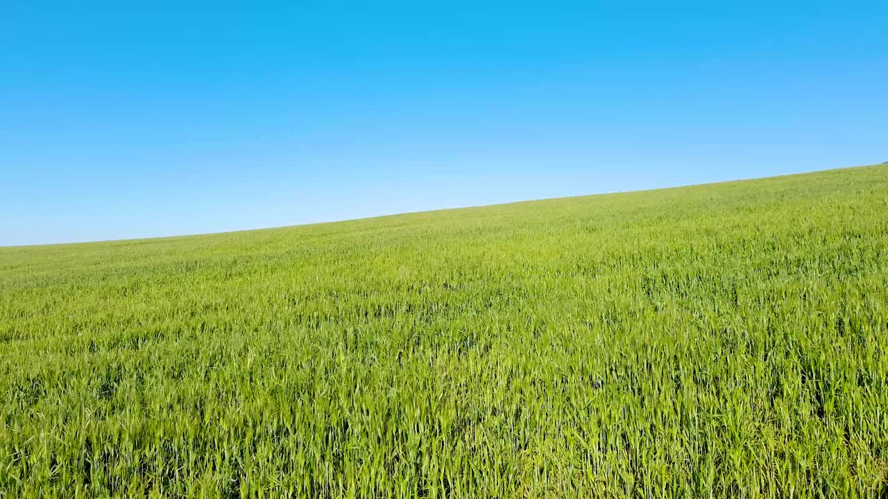 春天的田野。视频素材