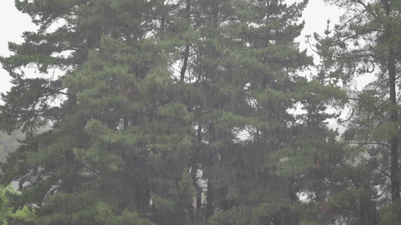 阴天下大雨视频素材