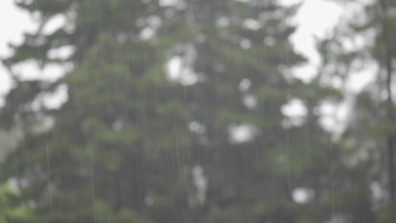 阴天下大雨视频素材