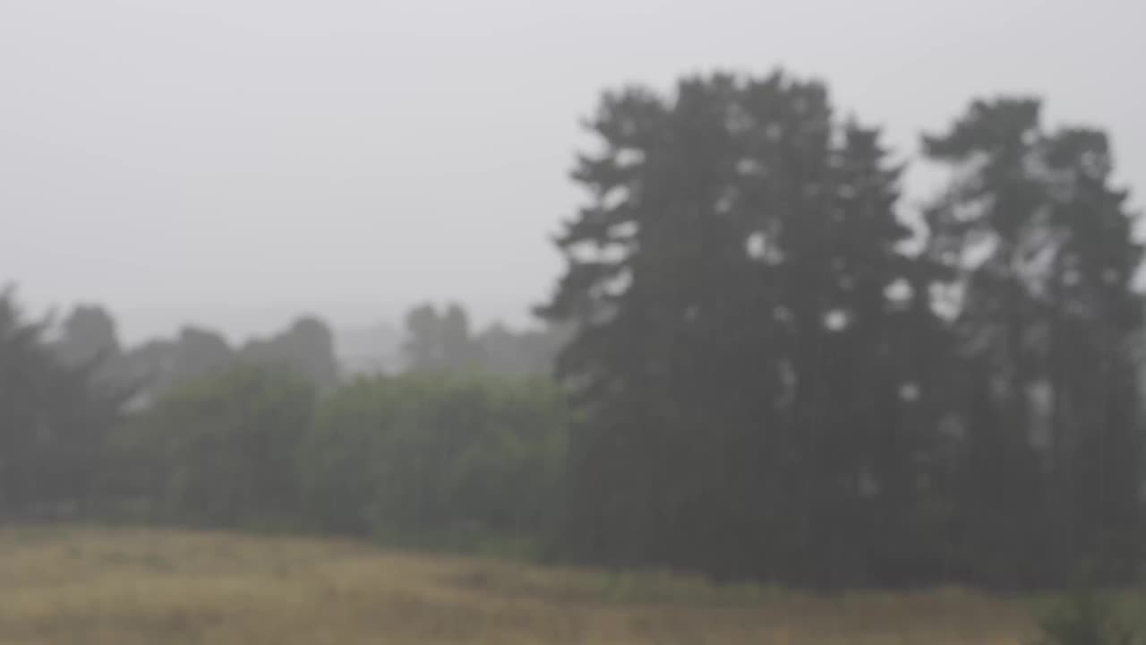 大雨落在郊区视频素材