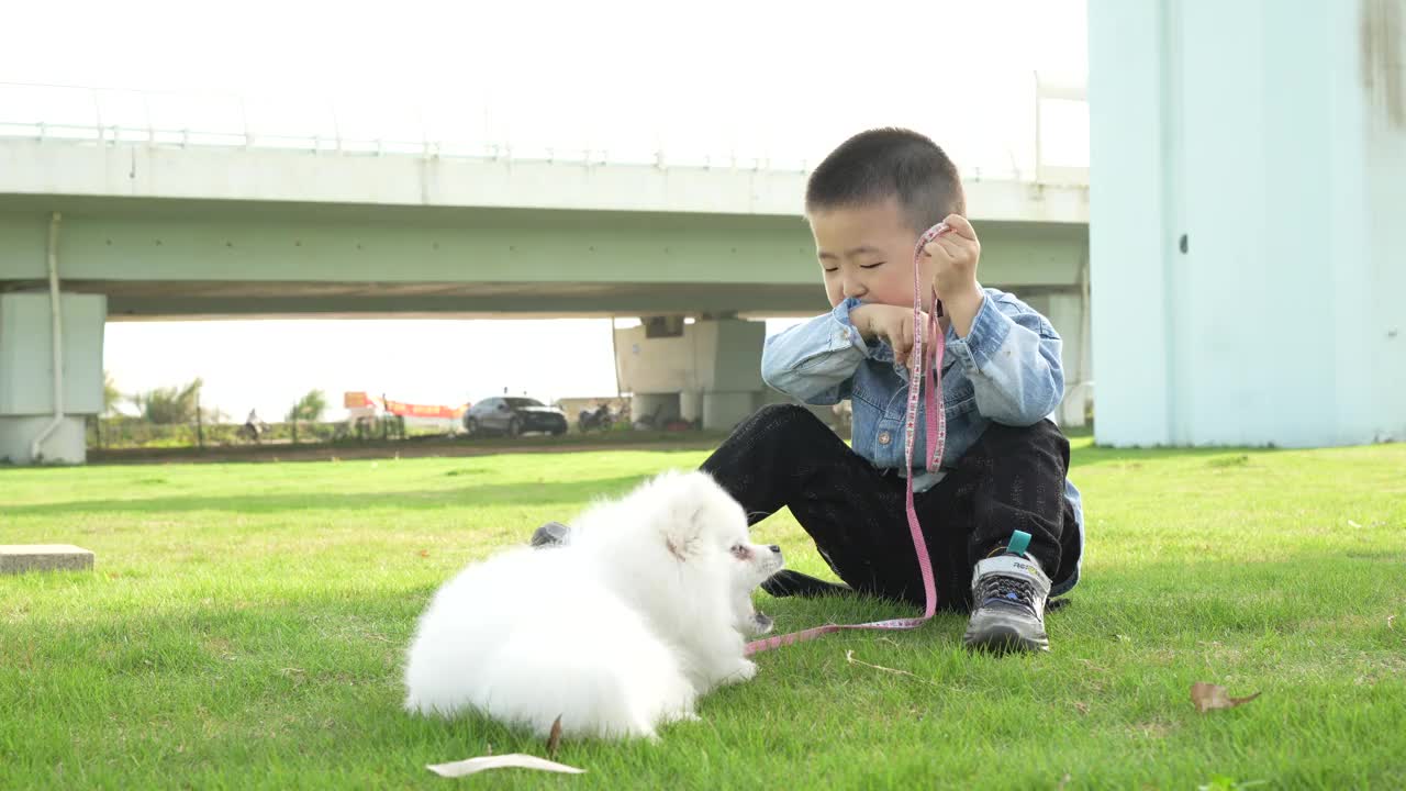 一个可爱的婴儿与博美犬玩耍的时刻视频素材