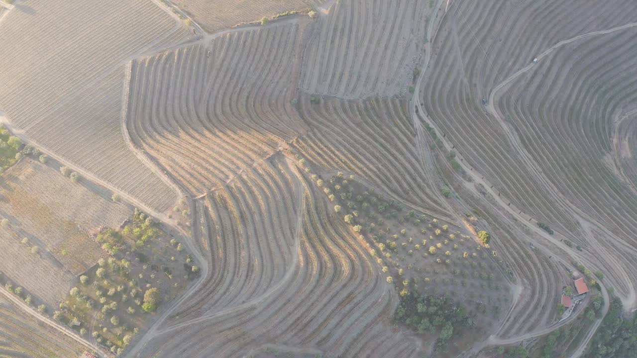 鸟瞰葡萄牙Pinhao村附近杜罗河谷的梯田葡萄园;葡萄牙旅游的概念和葡萄牙最美丽的地方。
杜罗河葡萄酒产区靠近波尔图，夏日视频素材