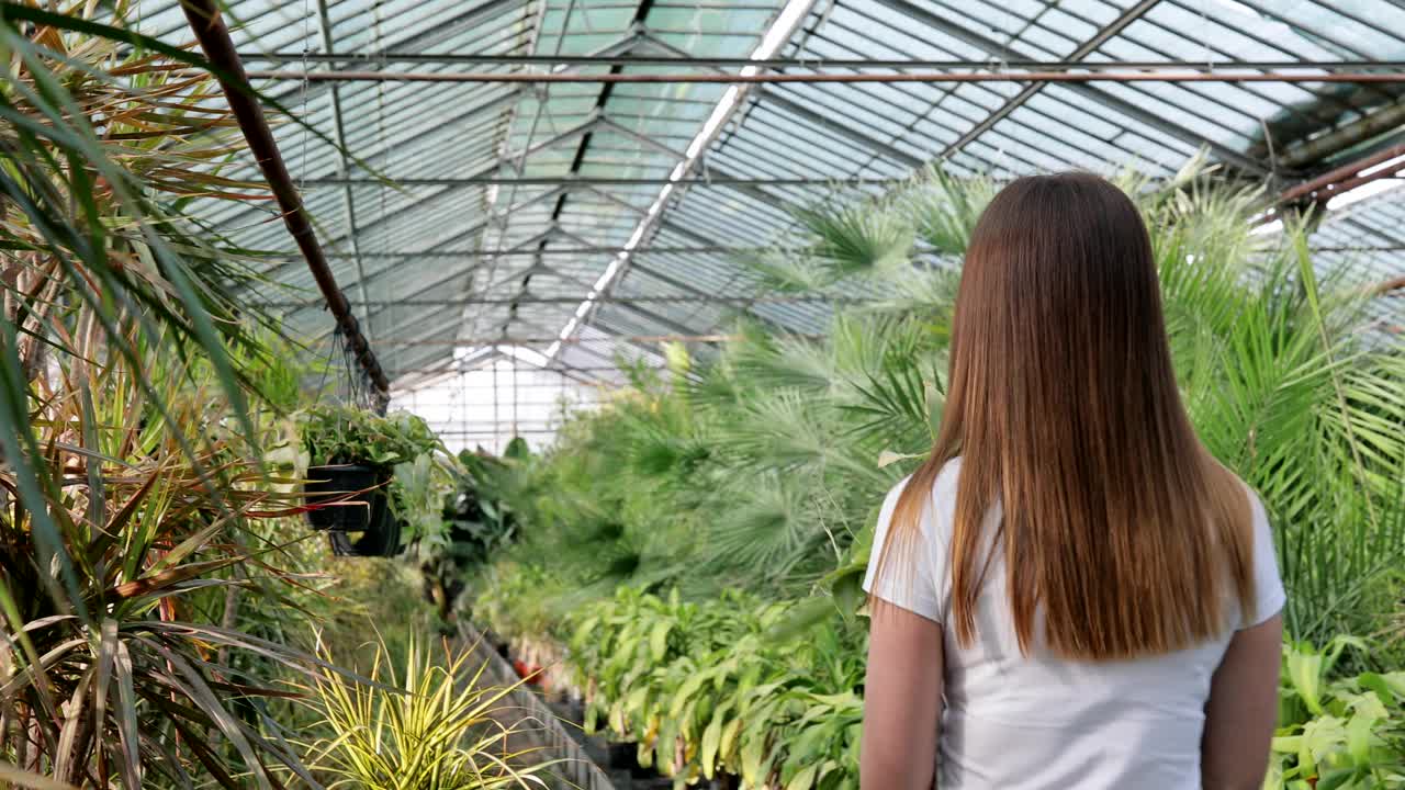 年轻女子在温室里照料花盆。种植植物的概念视频素材