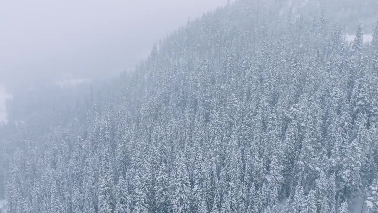 航拍视频，冬天岩石山脉被树木和明亮的雪覆盖视频素材