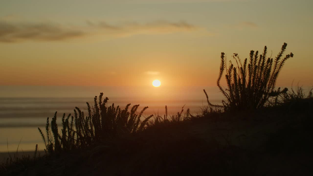 随着时间的推移剪影振动植物黄昏夕阳天空反射在海浪视频素材