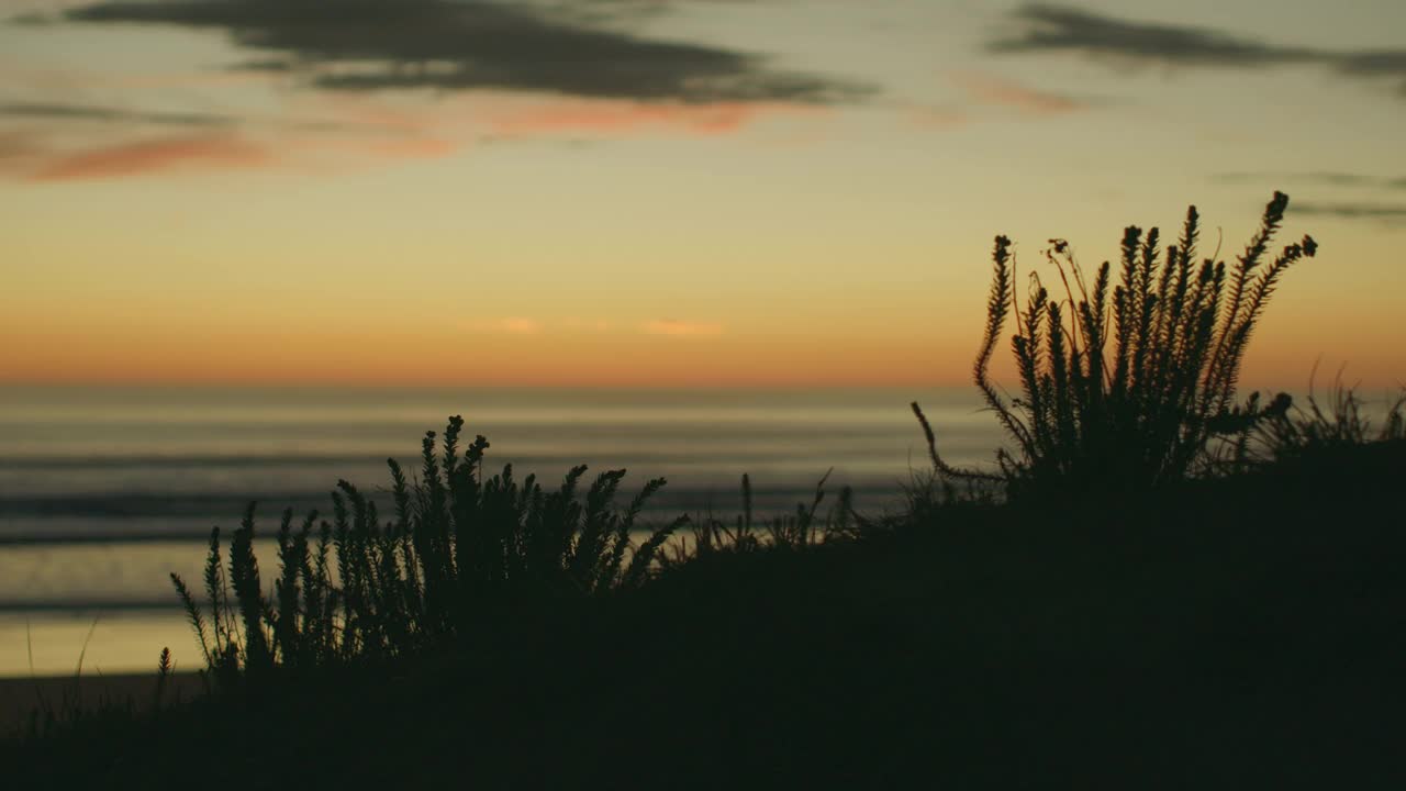 随着时间的推移剪影振动植物黄昏夕阳天空反射在海浪视频素材