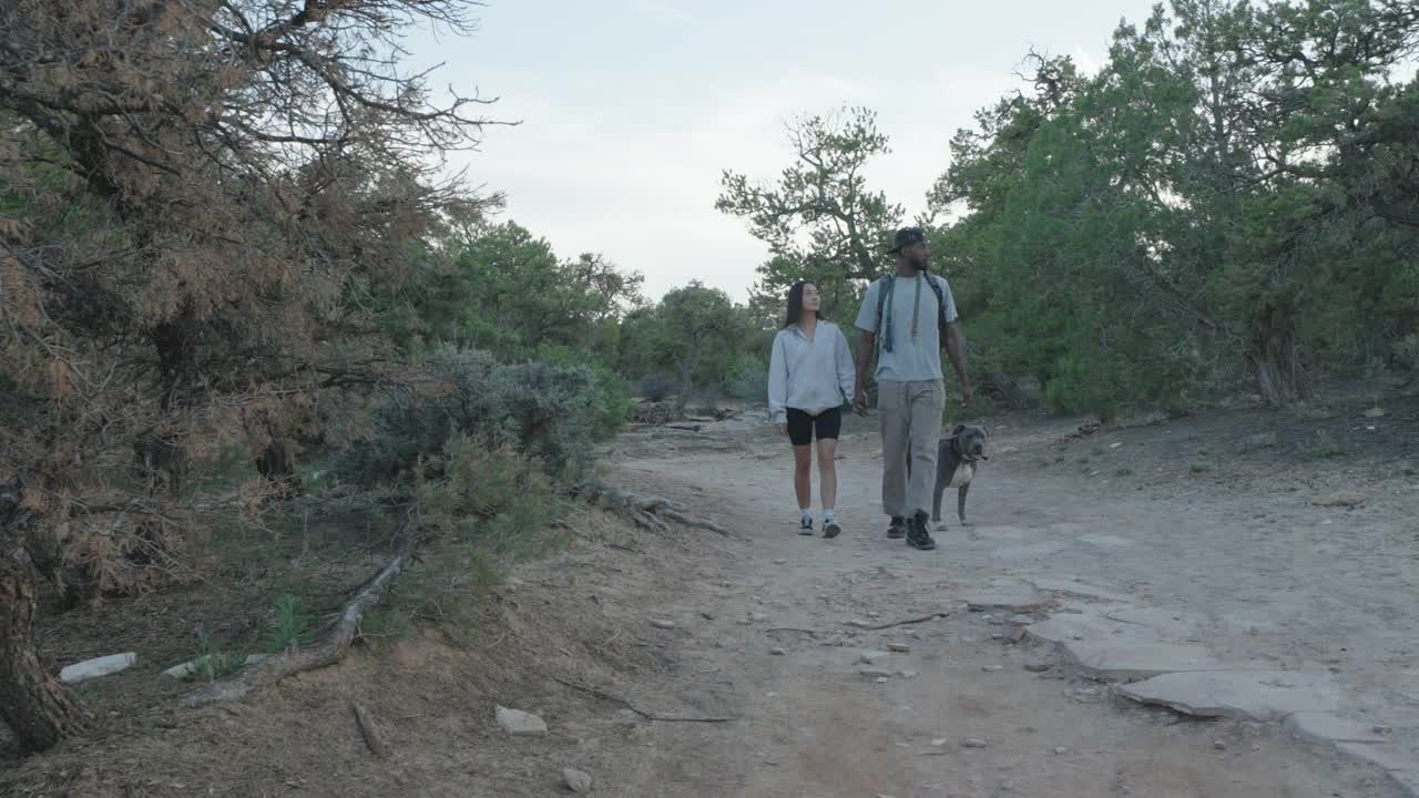 在科罗拉多州西部的一个偏远地区，一对年轻的混血夫妇，非裔美国人和墨西哥人，在雪松林中的一条土路上徒步旅行，这张照片拍摄于Fruita和Grand Junction附近视频素材