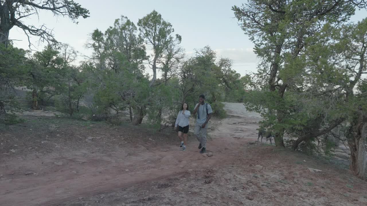 在科罗拉多州西部偏远的弗鲁塔和大枢纽附近，一对混血夫妇带着他们的宠物斗牛犬在一条泥泞的小路上徒步旅行时经过，这张照片被锁定了视频素材