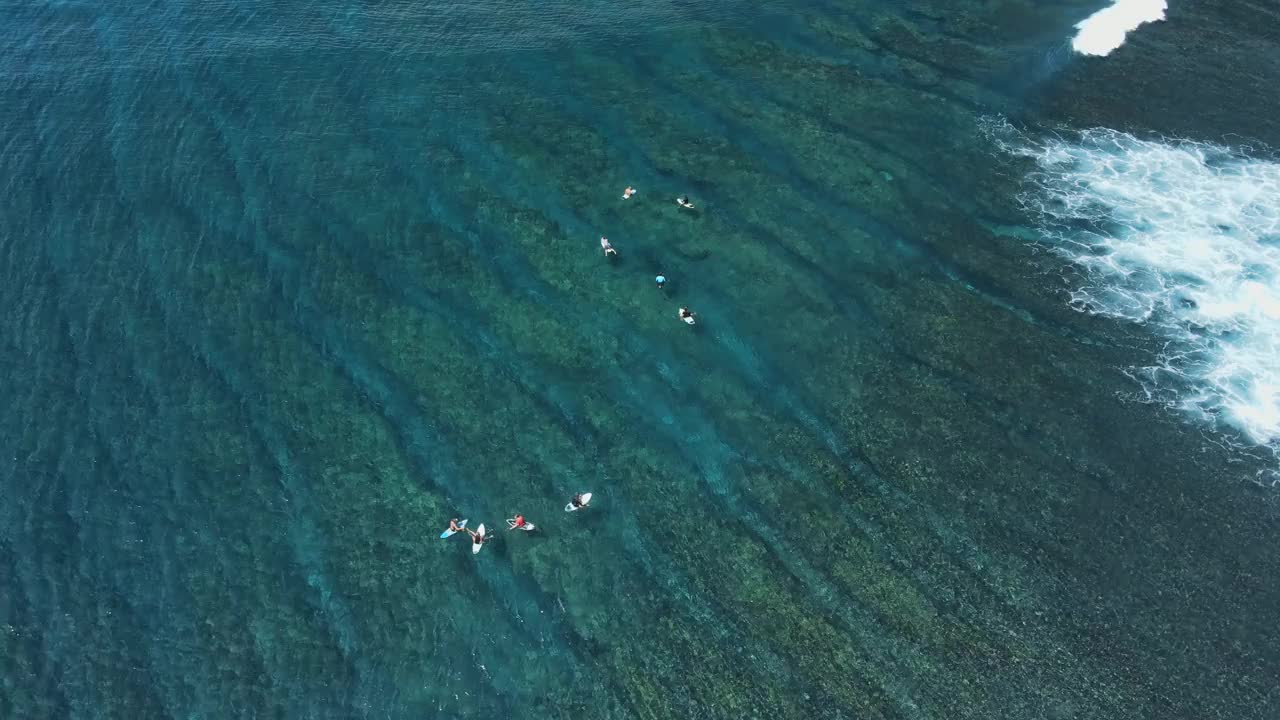 航拍图，冲浪者在热带海洋中排队。在清澈的海洋里和冲浪者一起享受完美的海浪视频素材