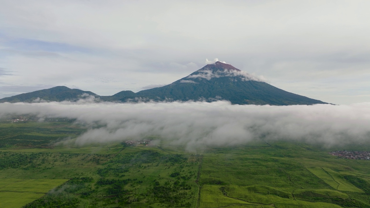 茶园Kayu Aro和Mount Kerinci。印度尼西亚苏门答腊。视频素材