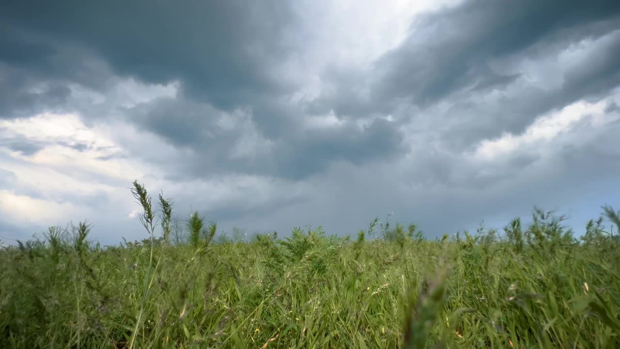 雨前的雷云。风摇着田野里的绿草，多云的天气。视频素材