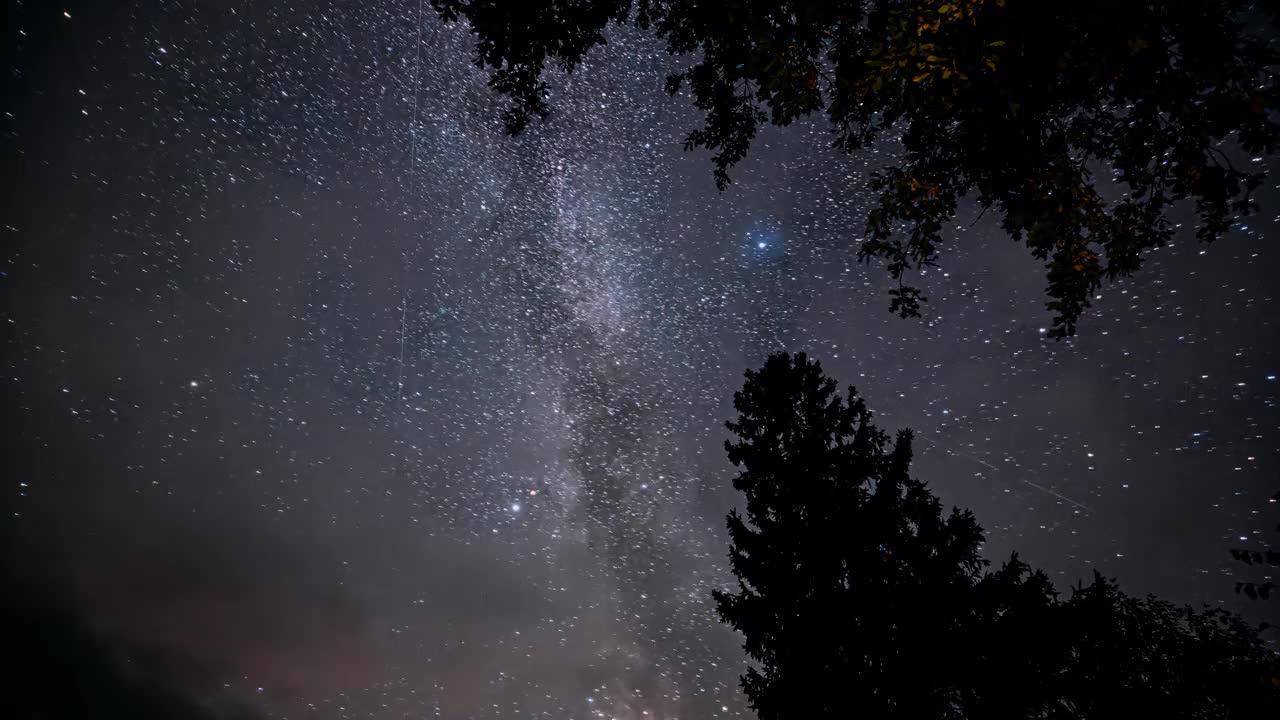 天空中神奇的星迹。宇宙概念。4k延时。夜晚星空与发光的星星轨迹和流星轨迹以上的树木。真正的彩色夜星。明亮的蓝色。延时，延时视频素材