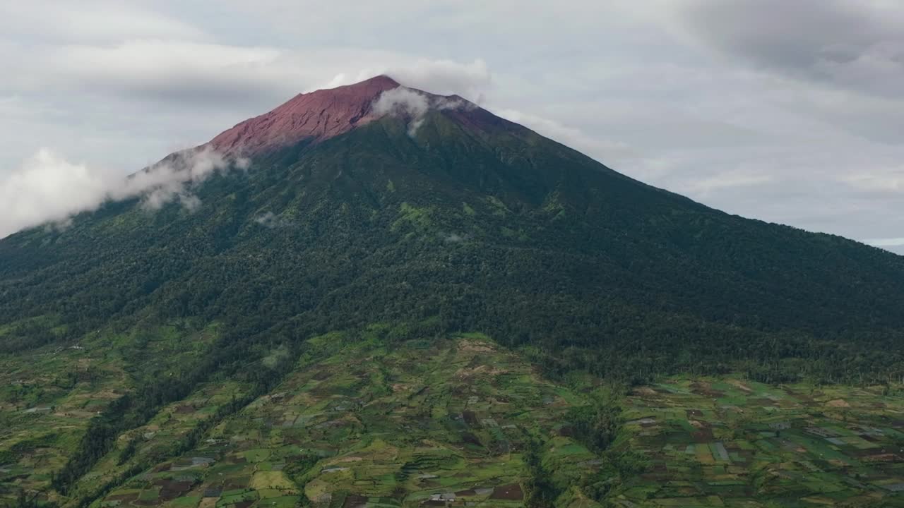 茶园Kayu Aro和Mount Kerinci。印度尼西亚苏门答腊。视频素材