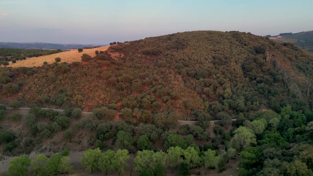 圣殿骑士城堡附近的植被山谷。空中拍摄视频素材