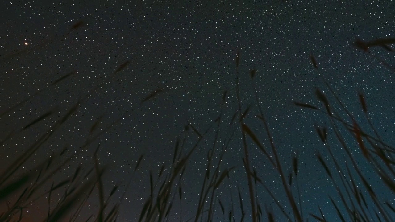 在夏季农业季节的小麦芽上，闪烁的星星和流星轨迹的4K夜空。旋转背景时移，时移，时移。底部视图。旋转运动视频素材