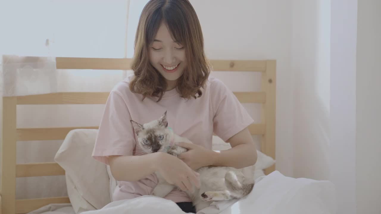 在室内养猫的亚洲妇女。视频素材