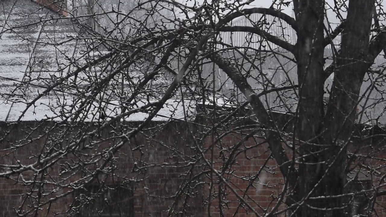 城市或乡村的降雪。视频31秒视频下载