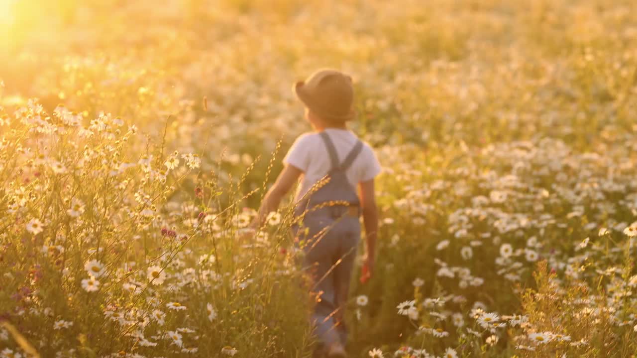 一个小女孩走在夏日的田野上视频素材