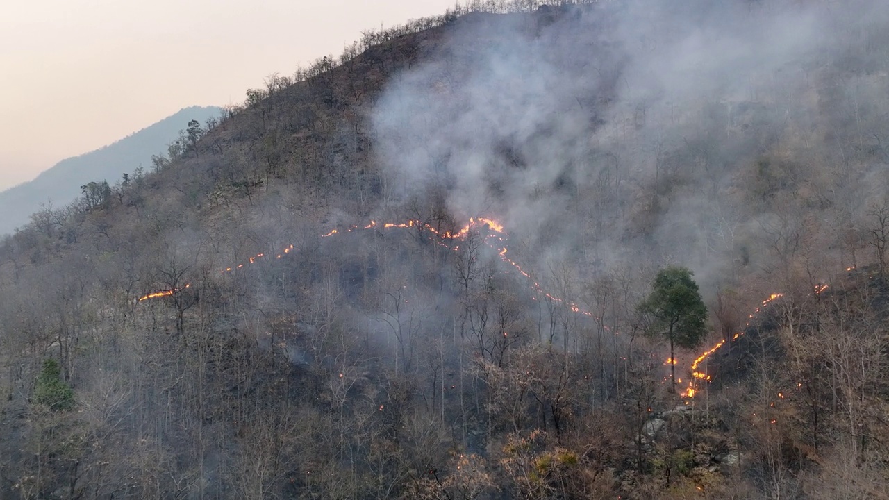 气候变化:野火释放的二氧化碳(CO2)和其他温室气体(GHG)导致气候变化和全球变暖。视频素材