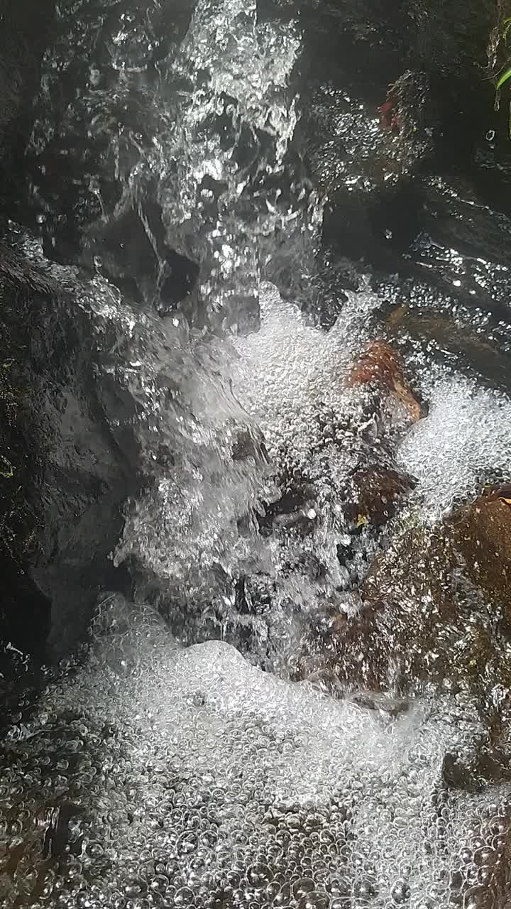 河水在流动，它是纯净和新鲜的视频下载