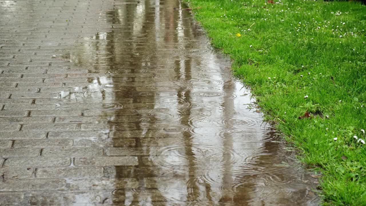 慢动作的水坑上的雨滴和树木的倒影视频素材