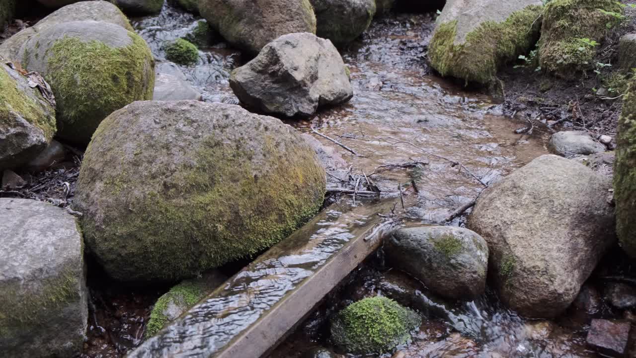 木沟弹簧视频素材