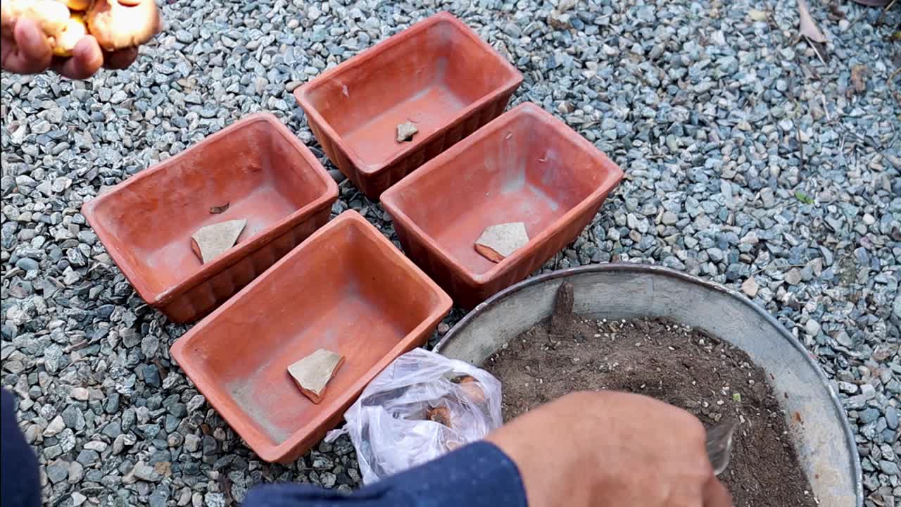 在花盆里填满盆栽混合物，以便在春天播种或移植植物视频素材