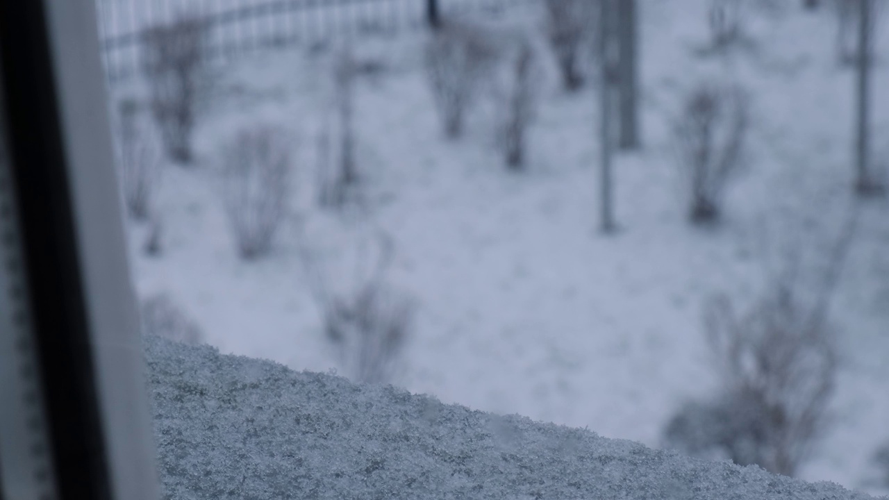 在寒冷的夜晚，冬季城市的大雪中，树木之间的极端降雪。树上覆盖着刚落下的雪。有选择性的重点。模糊的冬季背景天气视频素材