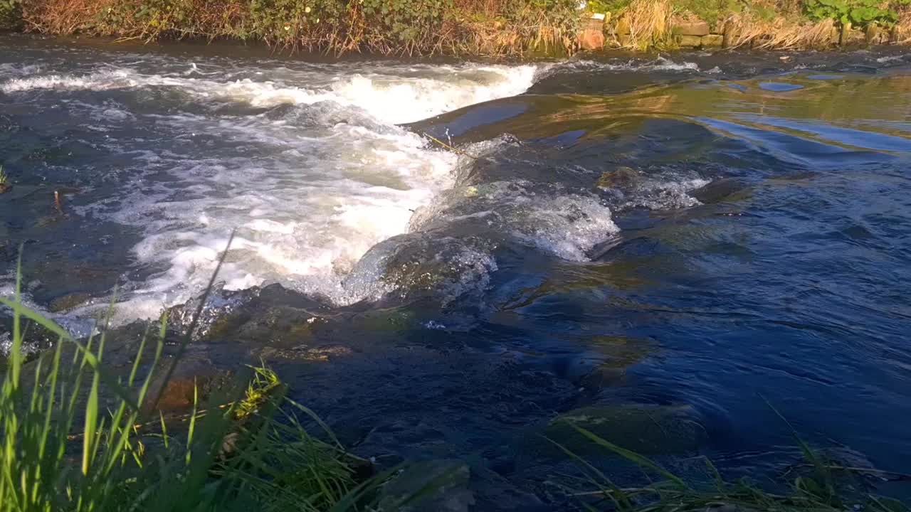 山河的静态框架。流水流过岩石。视频。视频下载