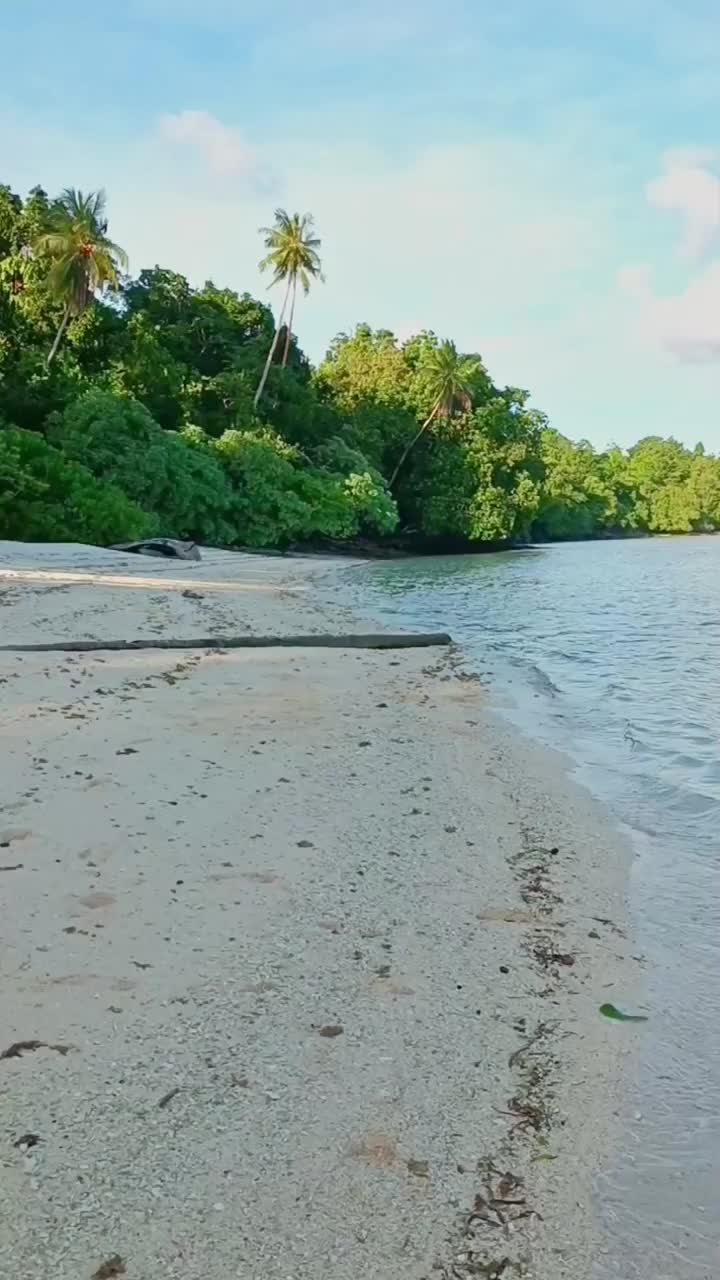 夏天的热带海滩，白色的沙滩和绿色的森林视频素材