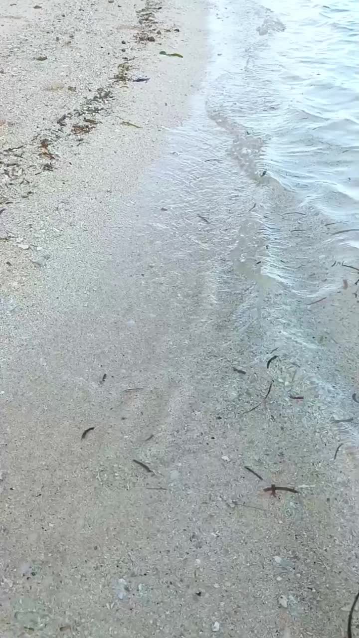 热带沙滩上白色的沙滩和清澈的海水视频素材